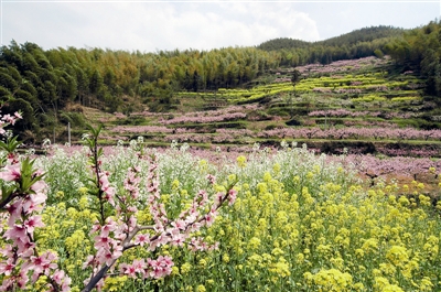 昨天,"乡愁半山,桃花遍野"富阳新登半山第十三届桃花节暨风情小镇观光