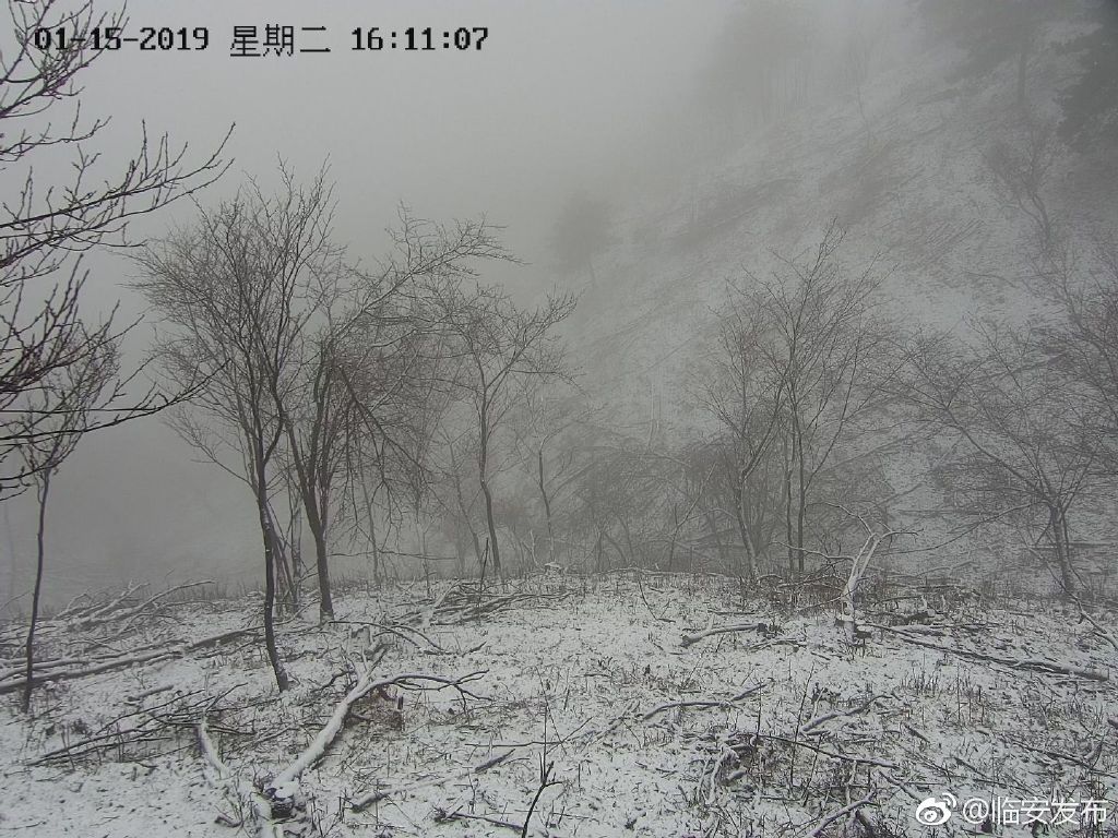 临安清凉峰保护区迎来2019年的第一场雪