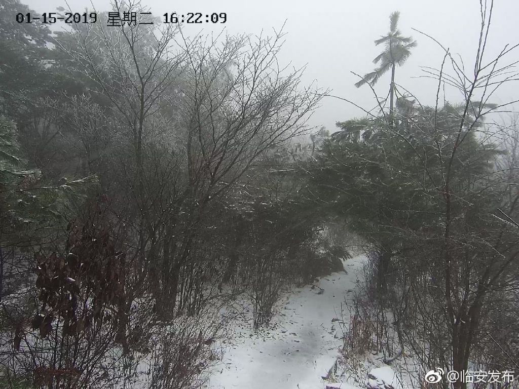 临安清凉峰保护区迎来2019年的第一场雪