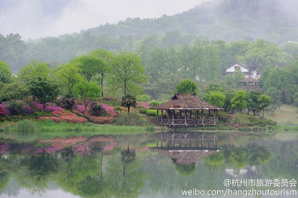 乌龟潭,永福桥,鸢尾花,西湖,杨公堤