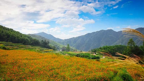 龙门秘境,临安龙门,临安村落,临安发展,龙门秘境景区