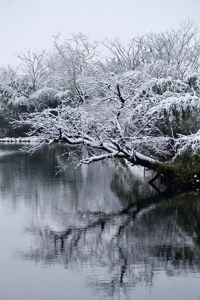 湖心亭看雪的人