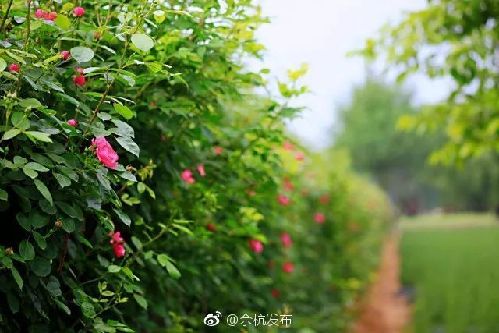4ccc6a3ad5901c4e6fc402.jpg