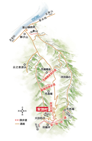 安顶村要当"富阳梅家坞"