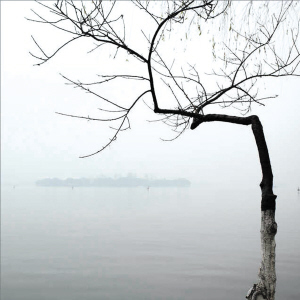 　冷风中，树冷冷地站在西湖边。