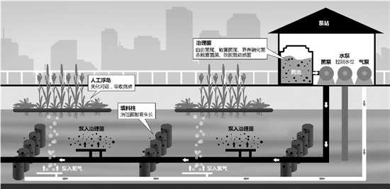 杭州治水搬来“细菌兵团” 黑臭河道变了样