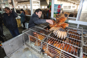 萧山昨起暂停活禽交易、关闭活禽市场