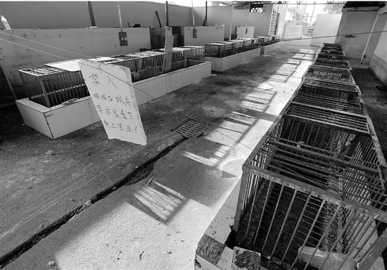 萧山关闭活禽交易市场