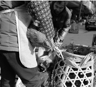 萧山闻堰农贸市场外，依然有流动摊贩在贩卖活禽