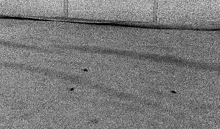 包间洗浴的休息小床上有三颗老鼠屎 包间洗浴的休息小床上有三颗老鼠屎