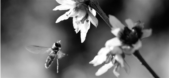 冬天里的春天，别急着减衣