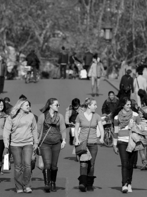 20.5℃!昨天杭城仿佛入春 20.5℃!昨天杭城仿佛入春