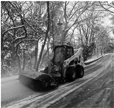 一只西湖“山猫”,顶百位扫雪大汉 一只西湖“山猫”,顶百位扫雪大汉