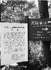 寺庙禁止外带香烛 香烛店老板怂恿游客“藏”香入寺