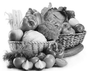 如何打造食品安全城市？市政协委员建议对问题食品召回制度进行立法