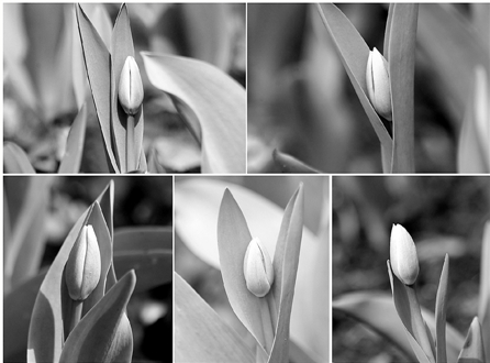 杭州将连晴3天 雾霾重来 杭州将连晴3天 雾霾重来