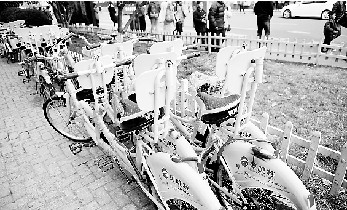 东坡路上,10多辆双人自行车被安置在路边,边上无人管理。 李震宇 王飞超 摄 东坡路上,10多辆双人自行车被安置在路边,边上无人管理。 李震宇 王飞超 摄