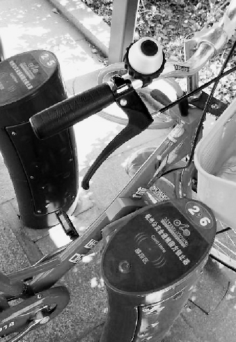 余杭骑车来游西湖的人越来越多了