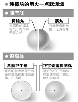 雨天，小伙伴找不到樟脑丸了