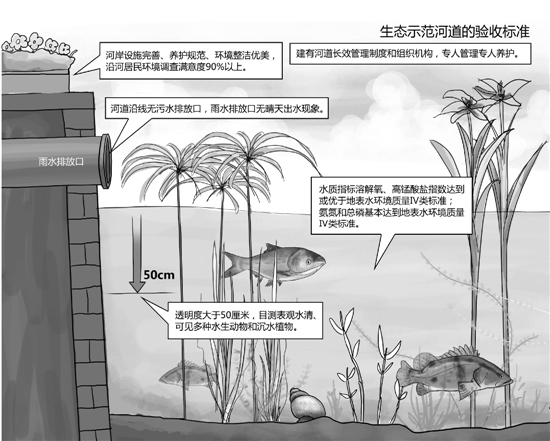 杭城47条城市河道，今年要摘掉黑臭帽