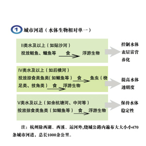 小鱼治水，真的很神奇！ 