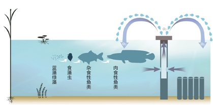 杭州三宗新武器“收拾”黑臭河