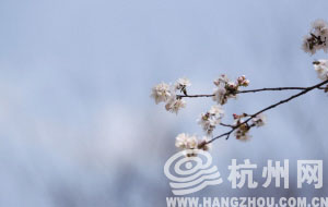 今天最高气温27℃ 入春后第一场冷空气明起带来风雨