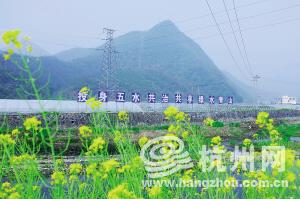 治污新安江 农村生活污水治理从改厕开始