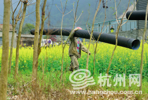 治污新安江 农村生活污水治理从改厕开始