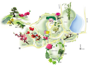杭州植物园请小朋友们到大自然里来读懂课文