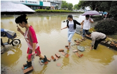 2013年10月8日，留下街道一积水路口，人们踩着砖块前行。    