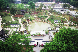 白塔公园、杭州植物园盆栽园五一开园迎客 