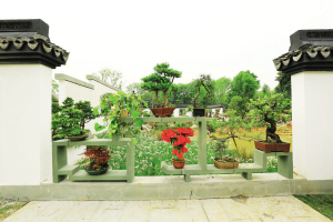 白塔公园、杭州植物园盆栽园五一开园迎客 