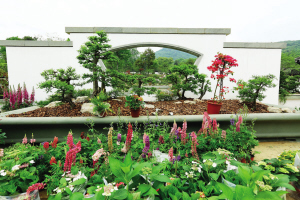 白塔公园、杭州植物园盆栽园五一开园迎客 