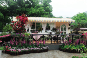 白塔公园、杭州植物园盆栽园五一开园迎客 