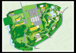 白塔公园、杭州植物园盆栽园五一开园迎客 
