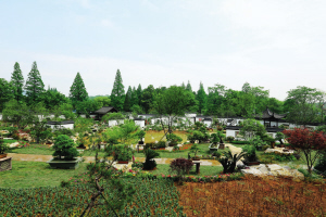 白塔公园、杭州植物园盆栽园五一开园迎客 