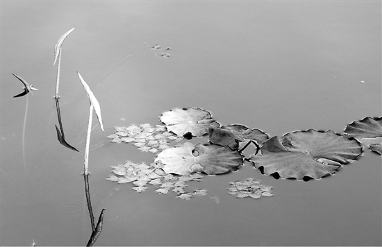 这样的蓝天，就是最美的小确幸