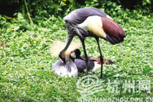 今明雨歇 洗洗晒晒 周末两天 滴滴答答