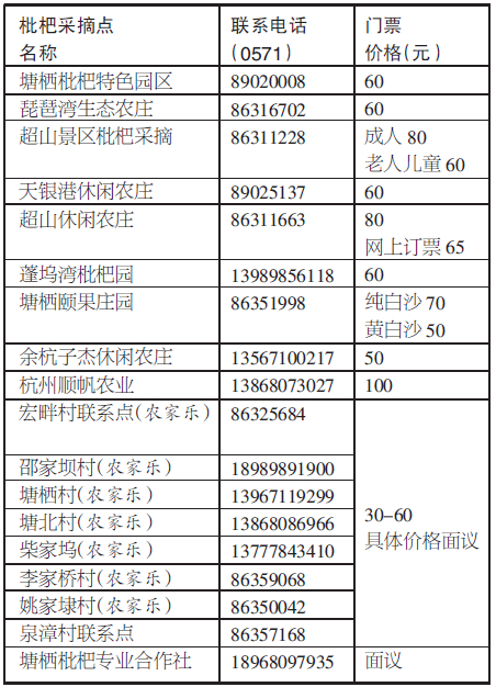 塘栖枇杷可以摘了