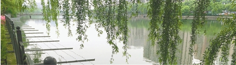 筑起硬隔离 布下铁丝网 想在贴沙河偷钓 没门