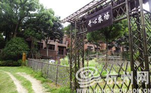 三位和著民的生活过得蛮滋润 