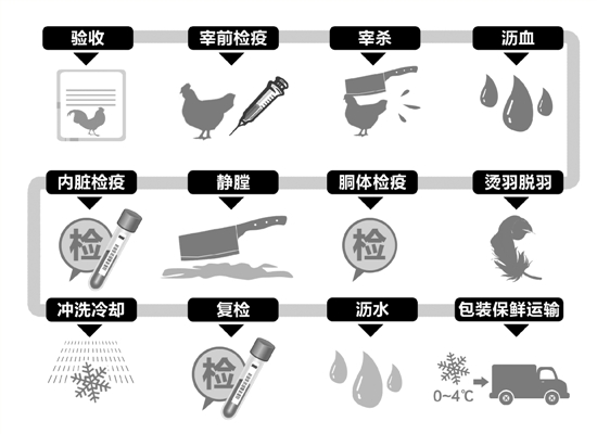 80分钟4次体检 杭州冷鲜鸡出炉过程打探
