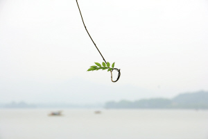 今天白天杭州短暂好天气 一大波雨水今晚赶到 今天白天杭州短暂好天气 一大波雨水今晚赶到