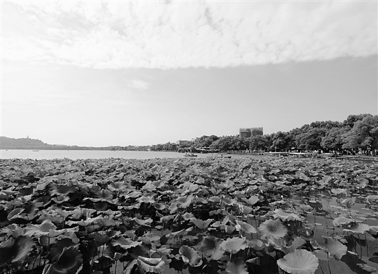 昨天的杭州一点都不像黄梅天，蓝天白云，空气清新，气温适宜。 里尔 摄 