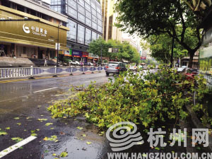 托台风“夏浪”之福 这个双休比较凉快