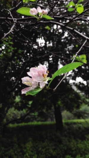今天雨还会有点大 周四起气温回升 你就知道还是夏天