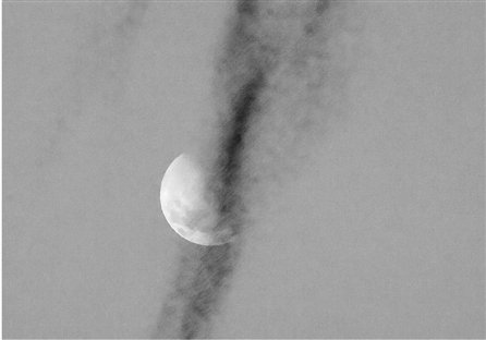 昨晚17时左右，西湖湖滨一公园，一群摇蚊竟然飞到空中与月亮“相遇”，仿佛月亮冒烟了。 向军 摄    