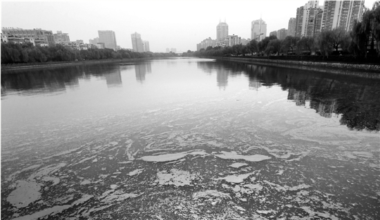 大片蓝藻入侵贴沙河 水质已取样检测中秋后出结果