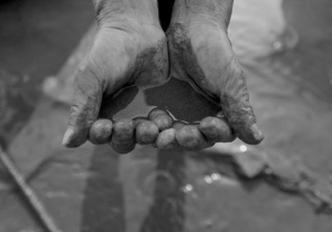 贴沙河蓝藻暴发 自来水厂暂停从这里取水